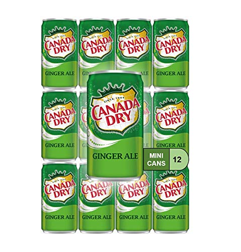 Ginger Ale Mini Soda Cans, 7.5 oz Soft Drinks Bulk Snacks Pack, Small Refrigerator & Snack Pantry Drink 12 Count Beverage Kitchen Supplies