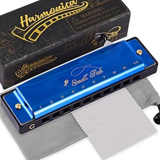 Harmonica for Kids Toddlers and Adults, Beginners Blues Musical Instrument Toy with 10 Holes and 20 Notes, Stainless Steel Diatonic Key of C Mouth Organ Set, Easter Basket Stuffers, Birthday Gifts