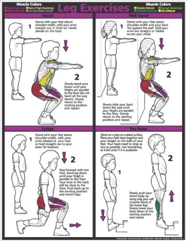 Leg 17" X 22" Laminated Poster