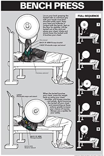 Bench Press Laminated Chart (Lt Grey/Black, 24" x 36")