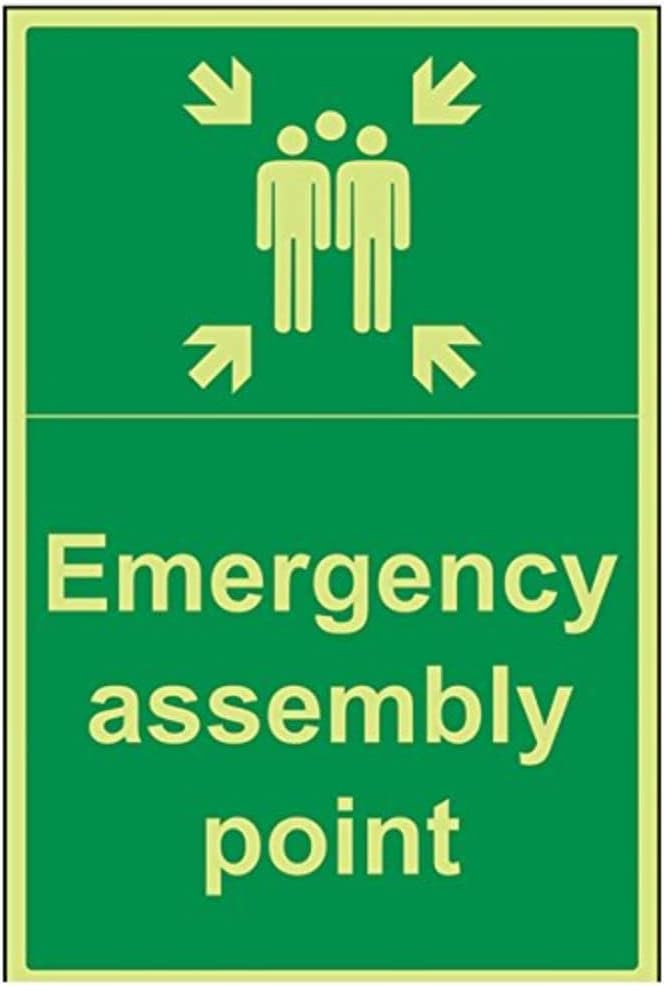 VSafety 17016BH-G Fire Assembly Point Sign, Emergency Assembly Point", Plastic, Portrait, 400 mm x 600 mm, Green