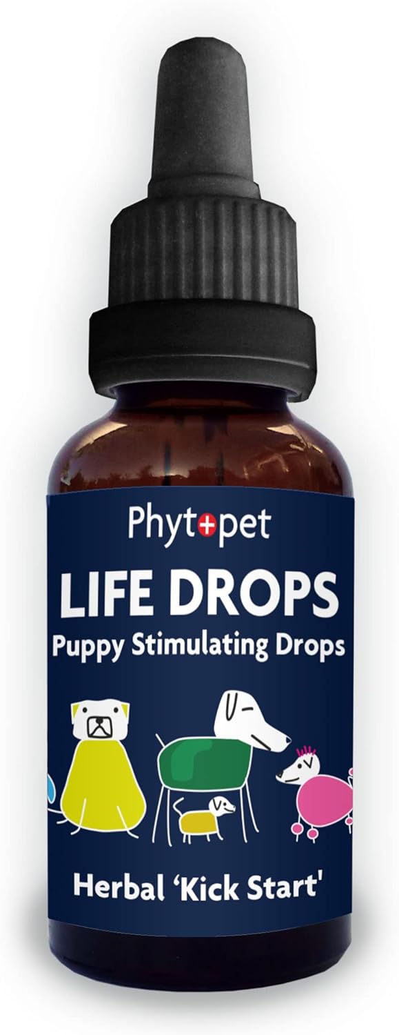 Phytopet Life Drops, All Natural Stimulant, Energy Boost, Immune Support, Metabolism Booster & Whelping Drops for Breeders of Puppies, Kittens & Small Mammals, 10ml - 100% Herbal Phytopet Pet Supplies
