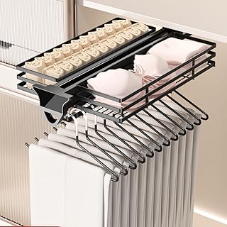 Pull Out Closet Rod with Basket, Closet Clothes Hanger Rail,Wardrobe Clothing Rail Pull Out basket,Closet Organizer Rack for Pants and Coat,Load 77LBS (22 IN/56CM with Basket)