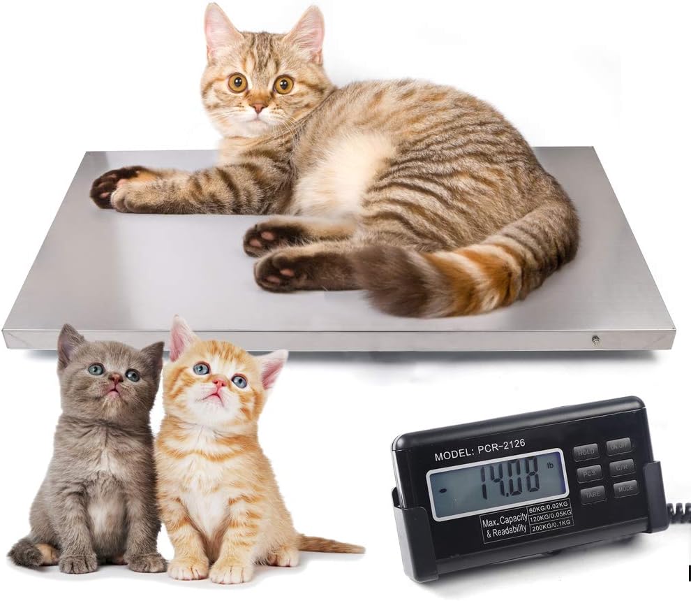 CAULO Digital Livestock Scale 440LB Stainless Steel Pet Scale for Large Dogs Heavy Duty Shipping Scale Postal Scale