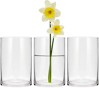 Set of 3 Cylinder Glass Vases for Centerpieces,6 Inch High Clear Flower Vase for Home Decor,Candle Holder,Wedding Favors and Floral Arrangements(4" W X 6" H)