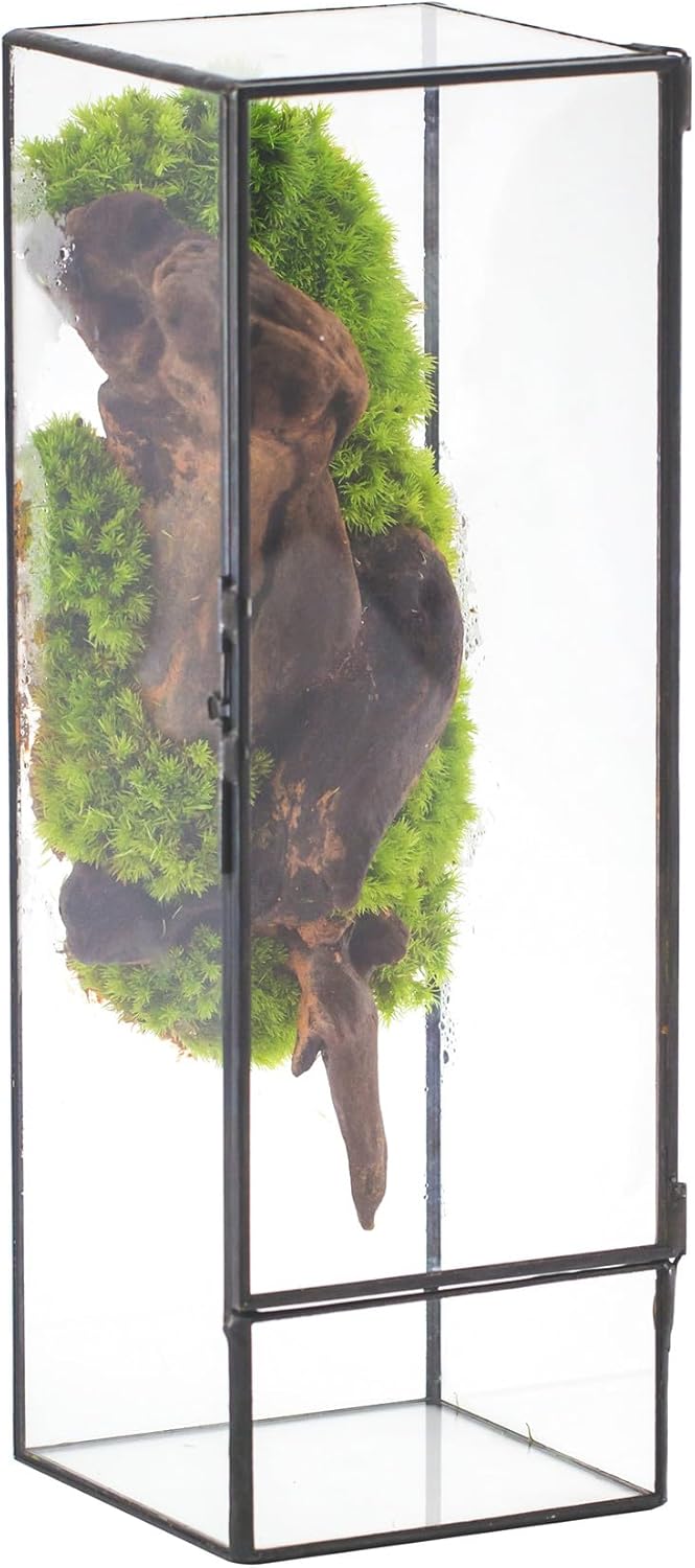 NCYP Closed Glass Terrarium with Door - 3.9x3.9x11.8 Inches Rectangular Tall Planter Box for Fern, Succulent Plants, Home Garden Tabletop Decor, Handmade (Terrarium Only)