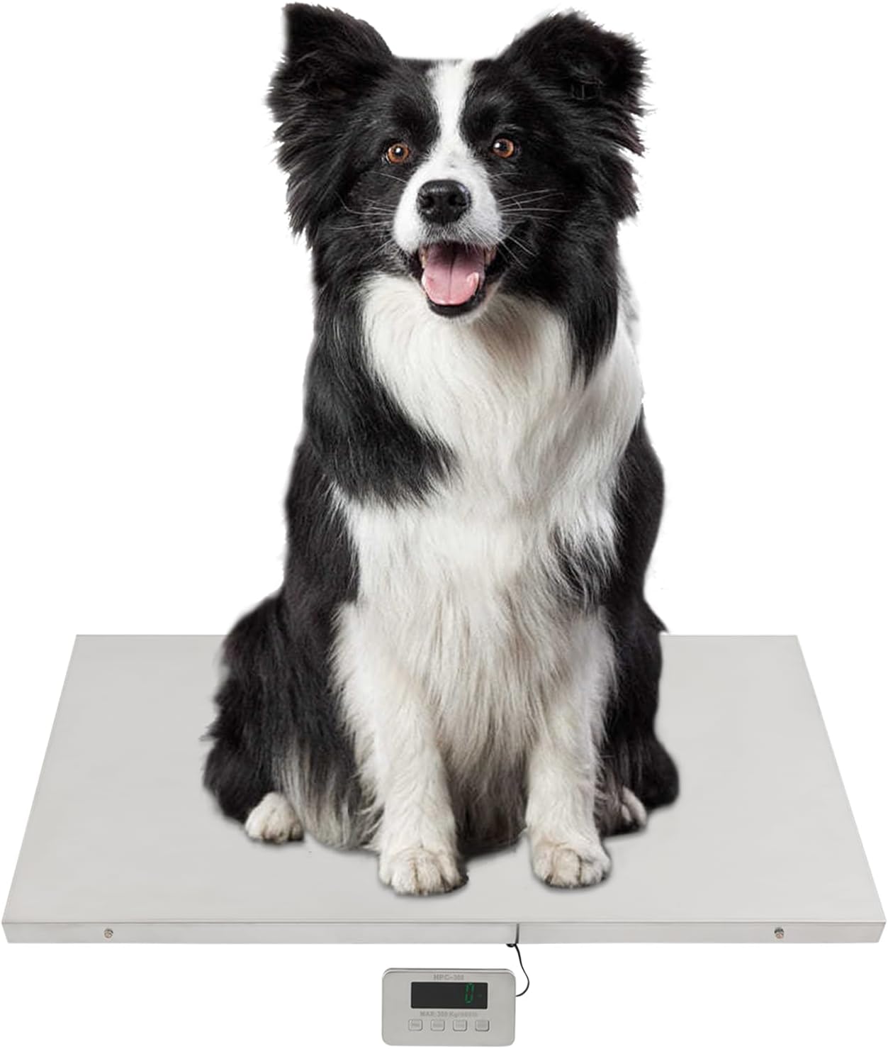 CAULO Postal Scales,Livestock Scale,w/Stainless Steel Platform 31.5 x 20.9 in,Scales Large Pet Vet Scale Platform Electronic Postal Shipping Scale