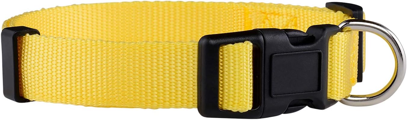 Native Pup Basic Nylon Dog Collar, Adjustable for Small, Medium, Large pet and Puppies Accessories, Cute Colors for Male, Female, boy, Girl, Puppy (Medium, Yellow)