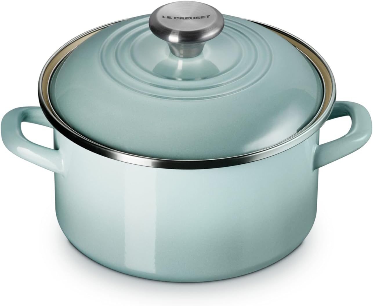 Le Creuset Enamel on Steel Traditional Petite Stockpot, 3.8qt., Sea Salt