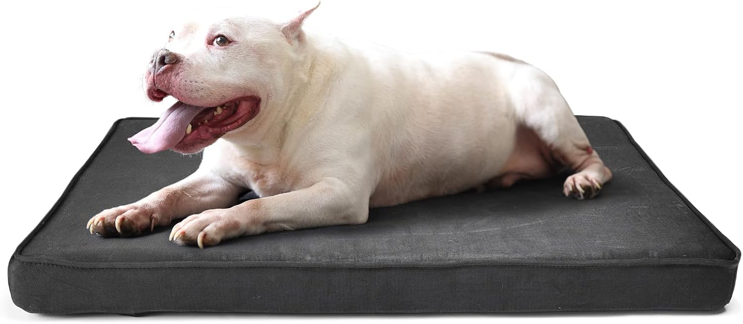 Tough Dog Bed for Aggressive Chewers Washable,Chew Proof Dog Bed for Heavy Chewer Dogs with Removable Cover,Orthopedic Comfort Memory Foam and Waterproof Liner 35X22 Inches, Black