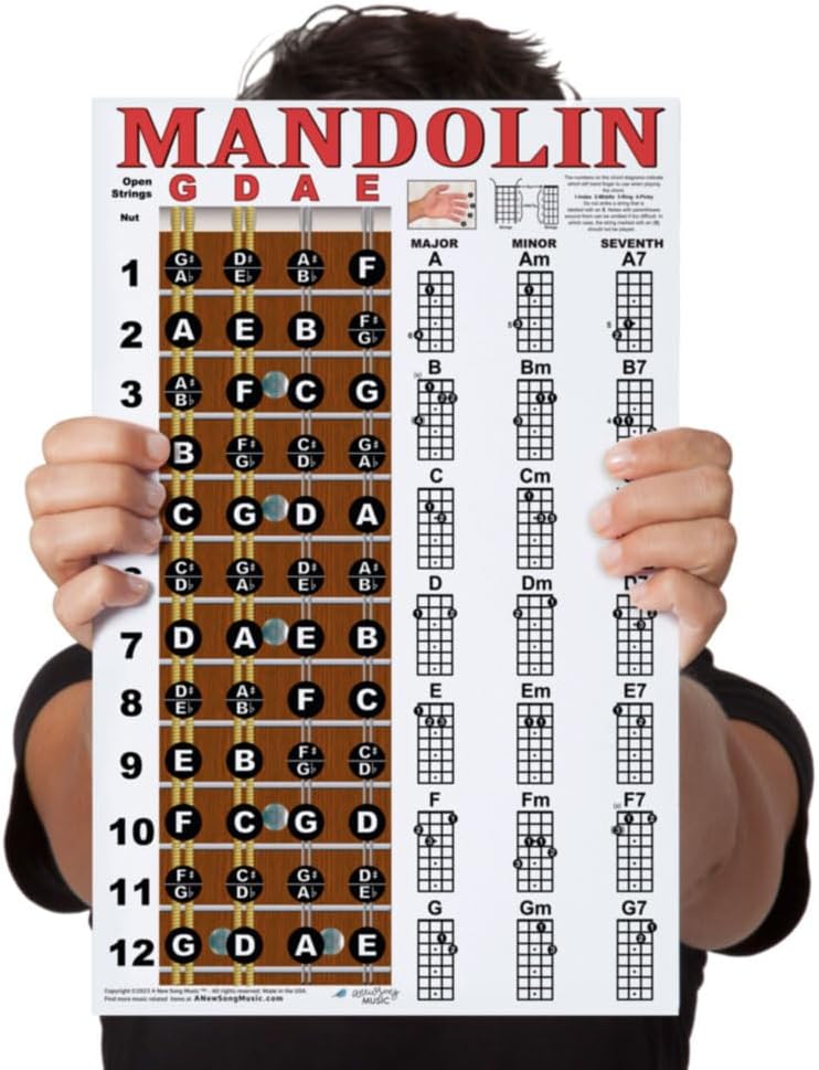 Laminated Mandolin Fretboard Notes & Easy Beginner Chord Chart 11"x17" Instructional Poster by A New Song Music