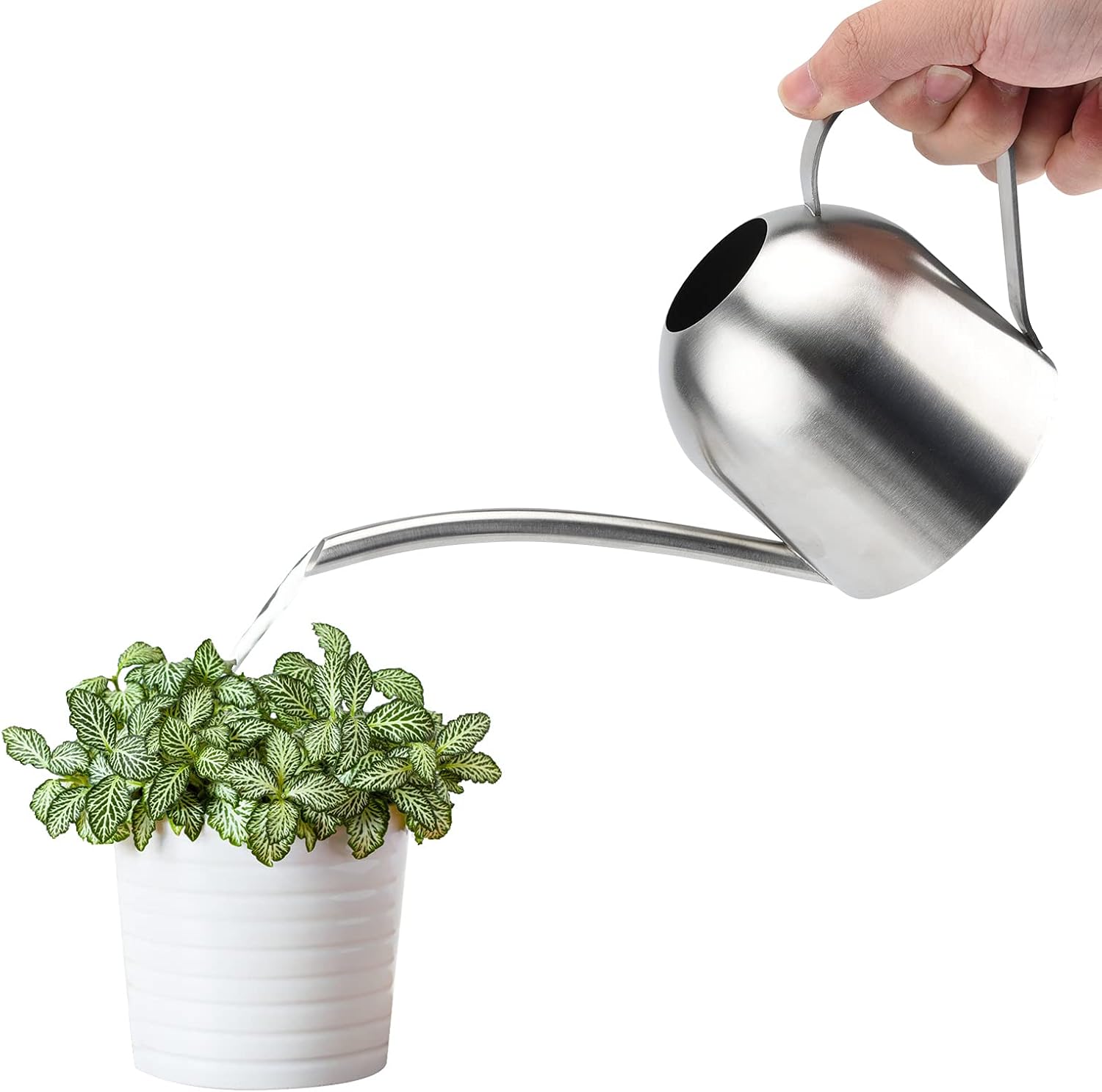 Saicowordist 17.6OZ / 500ML Indoor Plant Watering Can Small, Ornate Stainless Steel Metal Long Spout Bonsai Mini Watering Can, Watering Pot for Indoor&Outdoor Plant(Silver