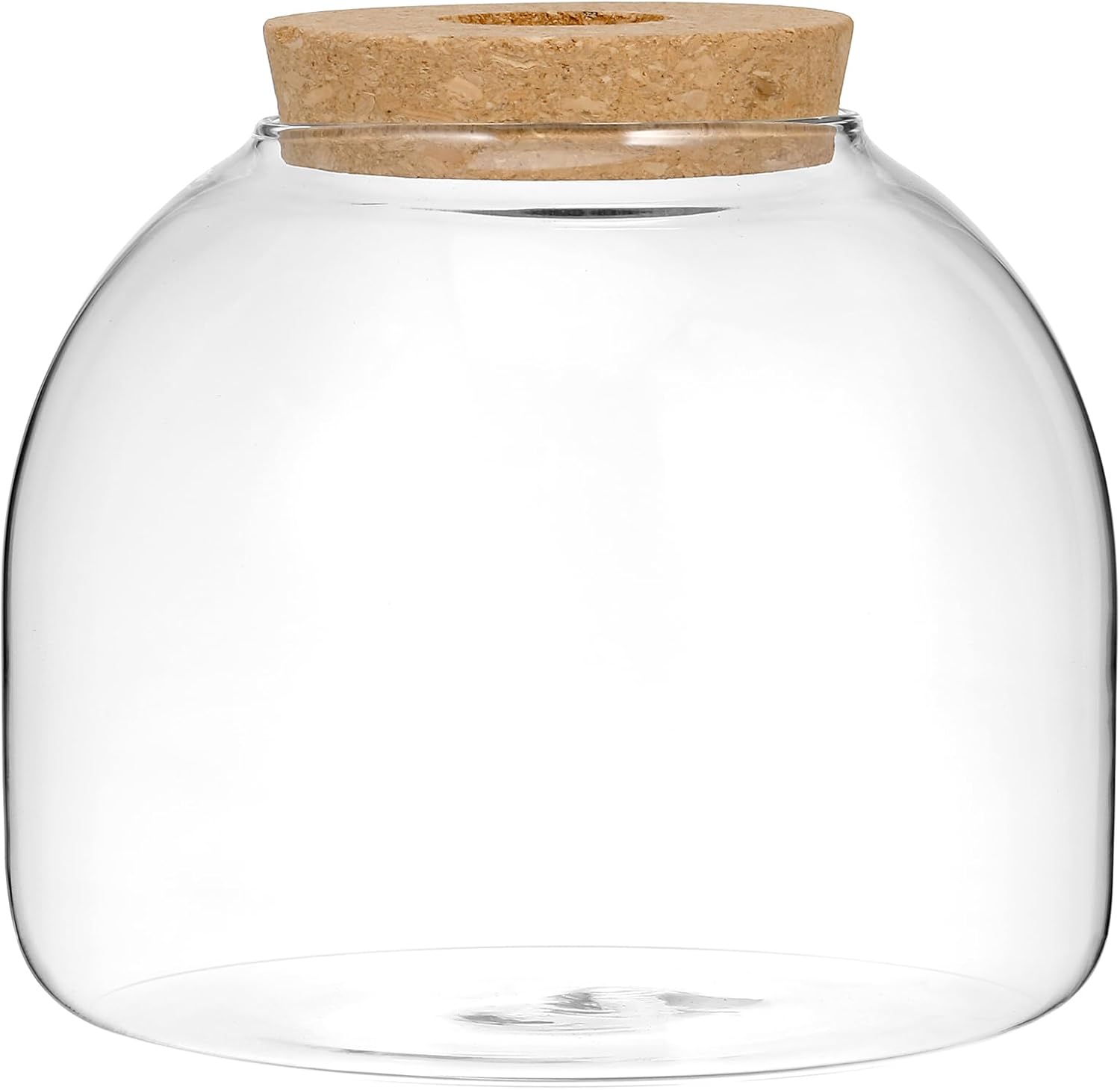 Milisten Glass Plant Terrarium, Cork Glass Micro Landscape Terrarium, Fish Bowl Vase Container, Jar, Air Plant Propagation Vase for Plants Fish Home Office Decor