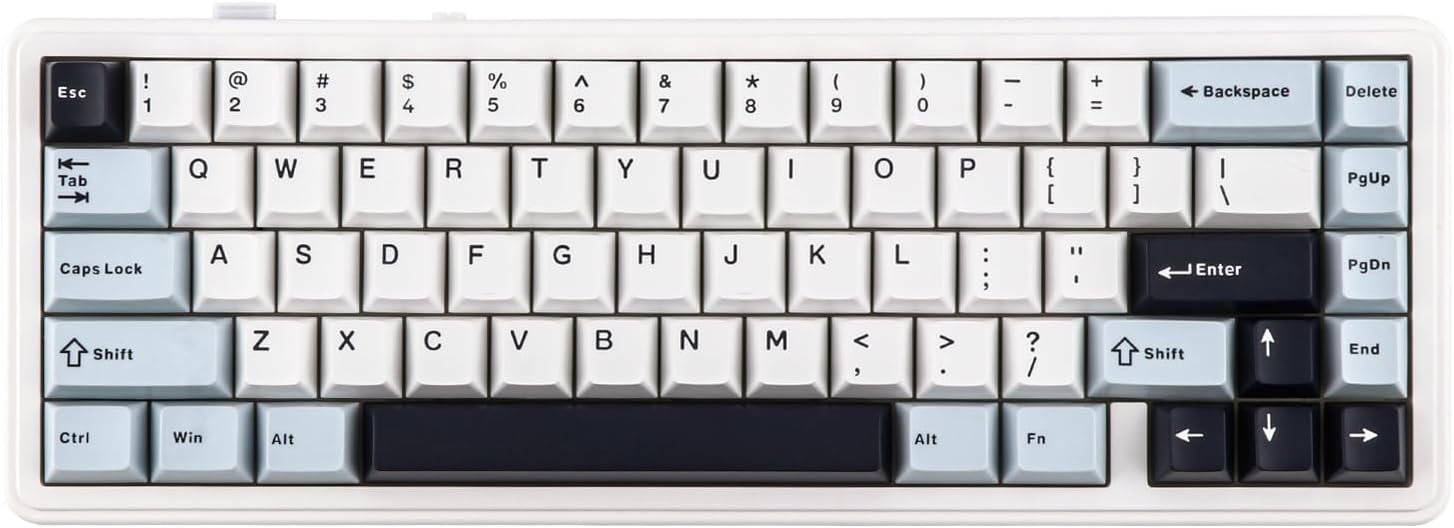 EPOMAKER x AULA F65 65% Wireless Mechanical Keyboard, Gasket Custom Gaming Keyboard Hot Swap with RGB, Bluetooth/2.4G/USB, lubed Linear Switches (Light Blue, Reaper Switch)