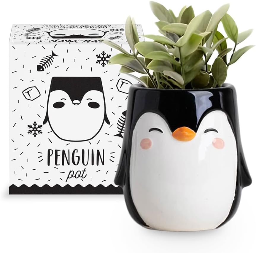 Penguin Animal Ceramic Planter for Indoor and Outdoors, 3 x 3 x 4 in., Cute Hand Painted Designed in Argentina, Convenient Drain Hole