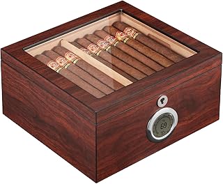 Flauno Cigar Humidor, Spanish Cedar Wood, Air Circulation System, Accurate Digital Hygrometer, Up to 60 Cigars, 2 Humidifiers, 2 Dividers, Glass Top Cigar Box with Lock, Gift for Cigar Lovers