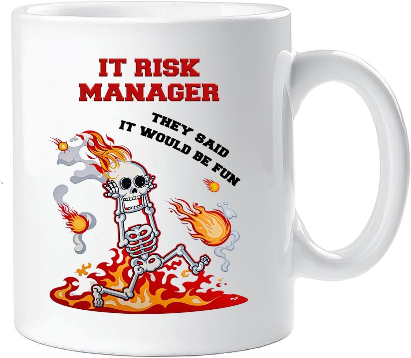 IT Risk Manager gift, Funny mug for IT Risk Manager Appreciation Gifts IT Risk Manager Christmas gift birthday coworker, friend cup