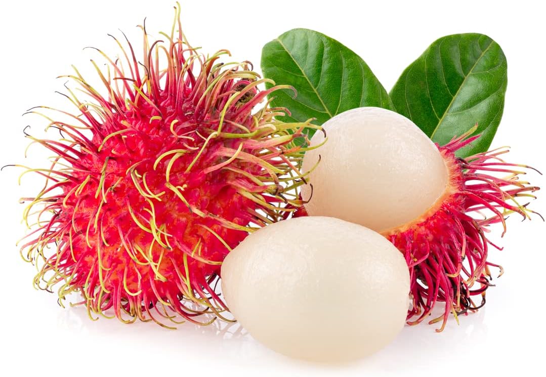 Fresh Rambutan 1 kg