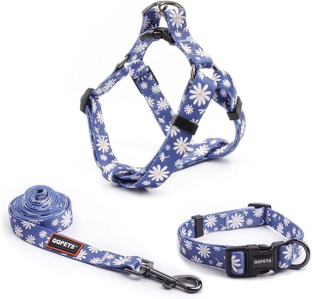 Dog Harness Collar Leash Set - No Pull Pet Adjustable Back Clip Halter Basic Collar Heavy Duty 5FT Anti-Twist Leash for Extra Small Puppy Medium Large Breed Training Running (Daisy, XS)