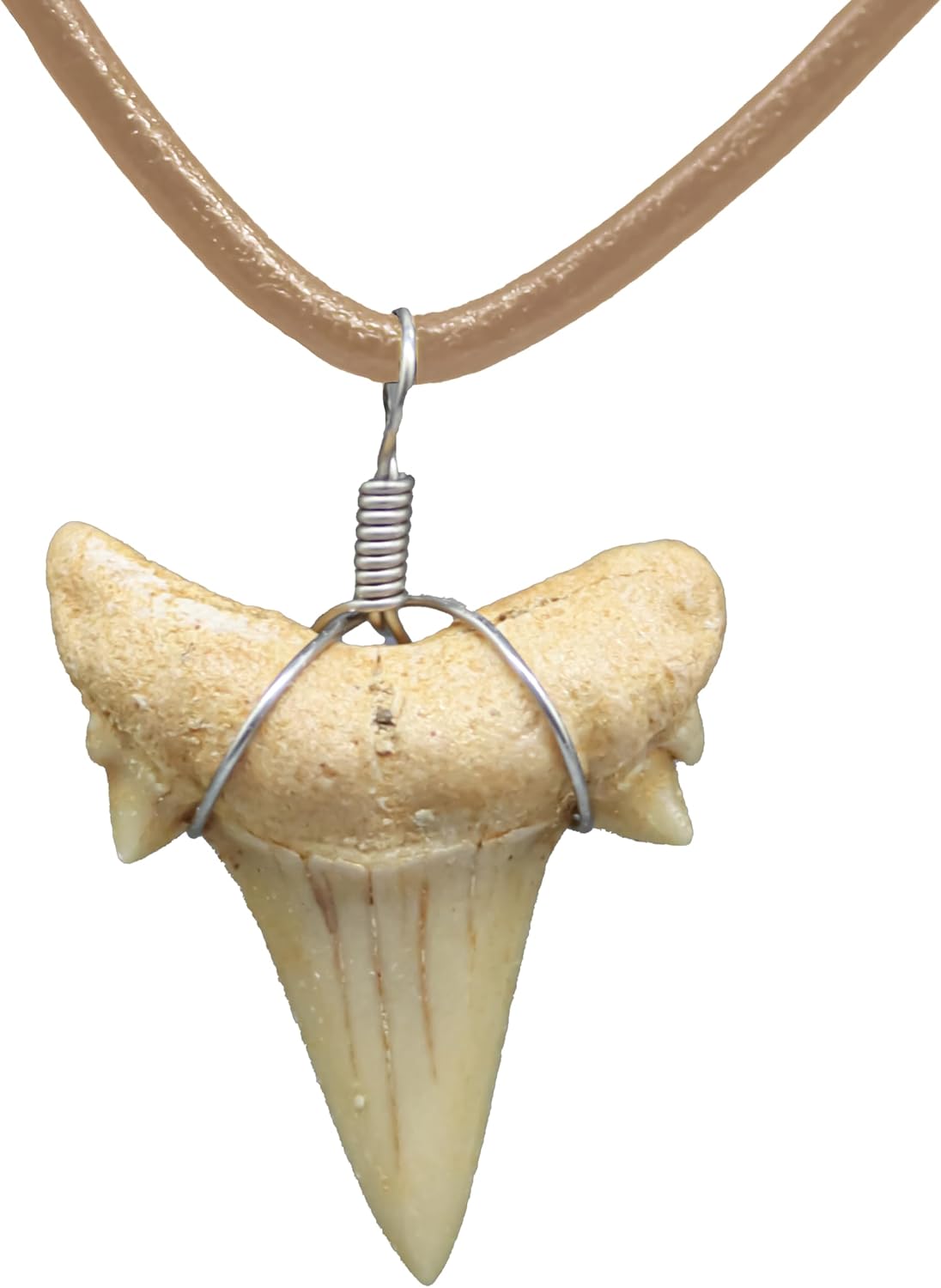Natural Shark Tooth Necklace for Men, Genuine Fossil Shark Teeth, Cool Sharktooth Beach Necklaces for Women, Beachy Surfer Choker Jewelry