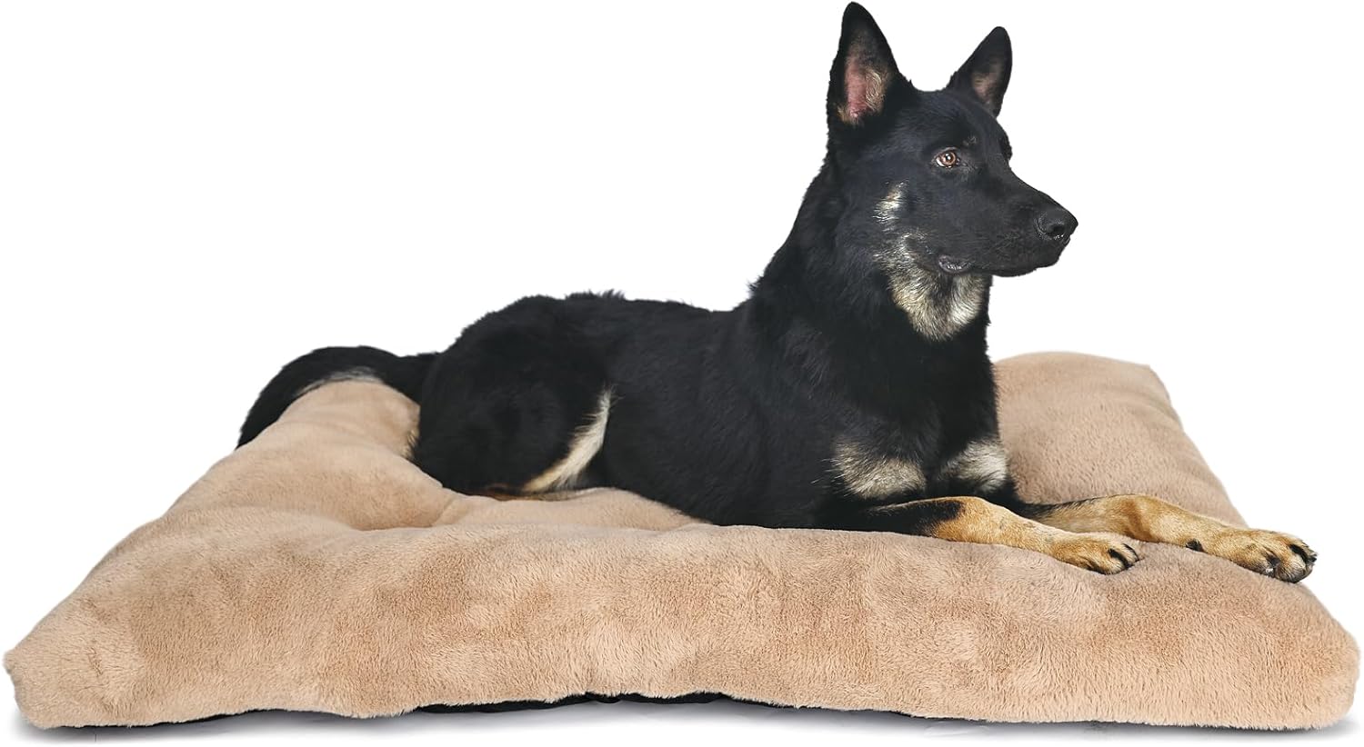 nononfish Dog Crate Bed 48 x 30 Washable fit Metal Crates or Kennel,XXL Kennel Mat for Extra Large Dogs with Anti-Slip Bottom,Jumbo Plus Pet Sleeping Mattress for up to 100 lbs Dogs,Light Brown