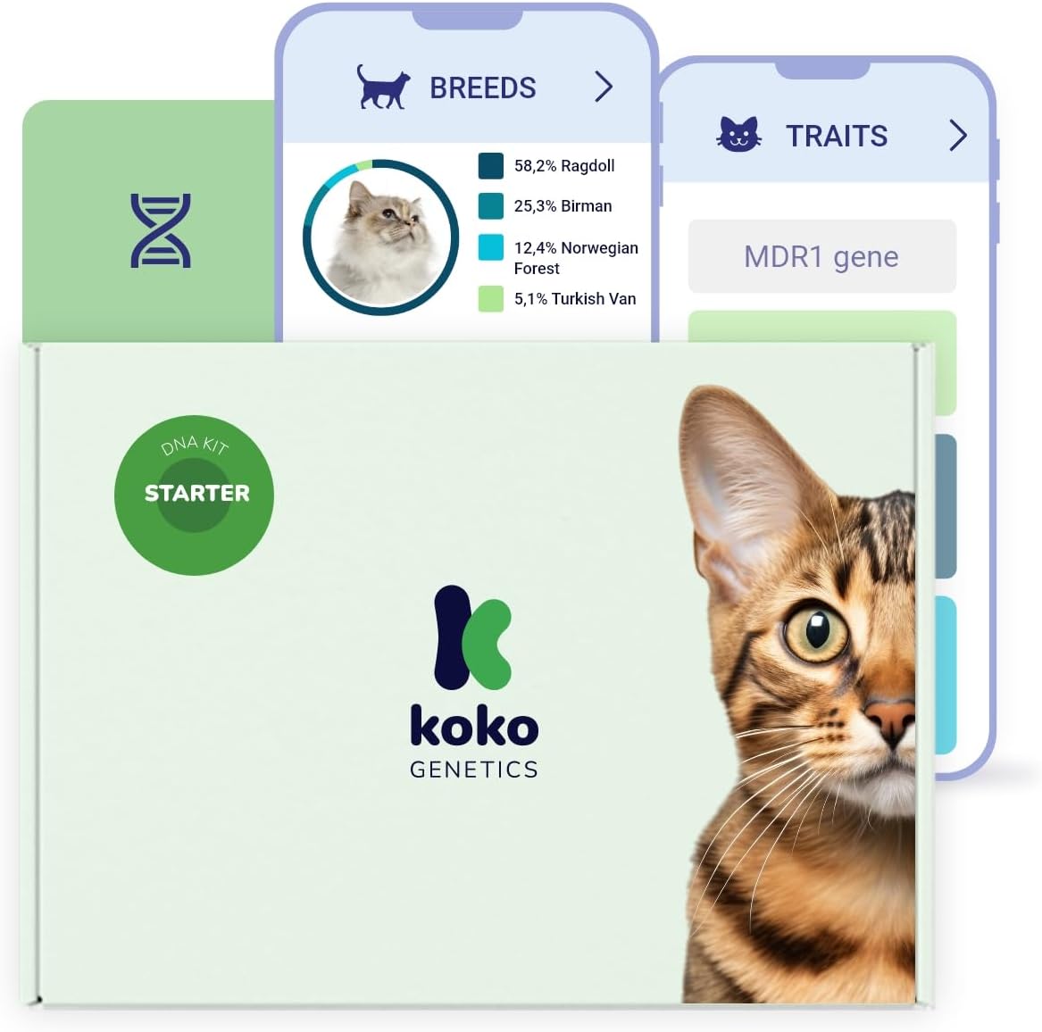 Starter DNA Test for Cats, Analyzes & Identifies 40+ Breeds and Offers 46+ Genetic Traits and Ancestry Reports, Lifetime Updates Included