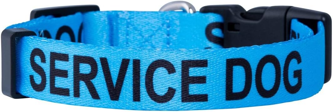 Native Pup Service Dog Collars (Small, Blue)