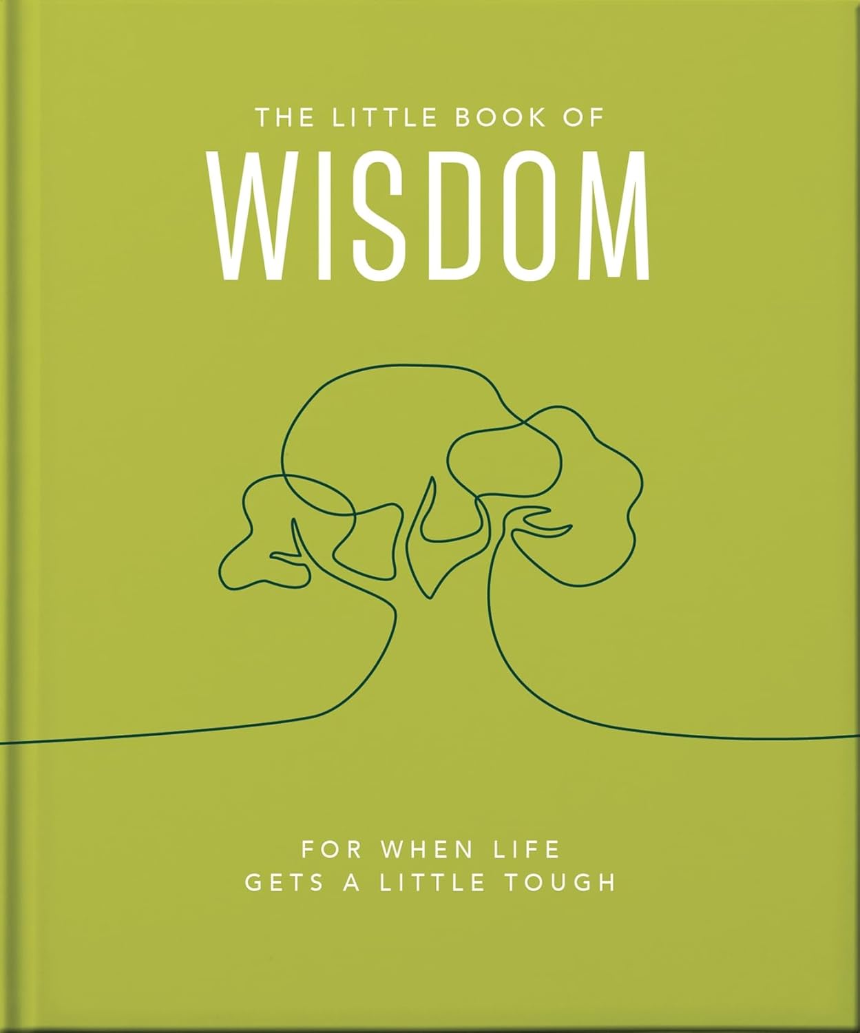 The Little Book of Wisdom: For when life gets a little tough: 7
