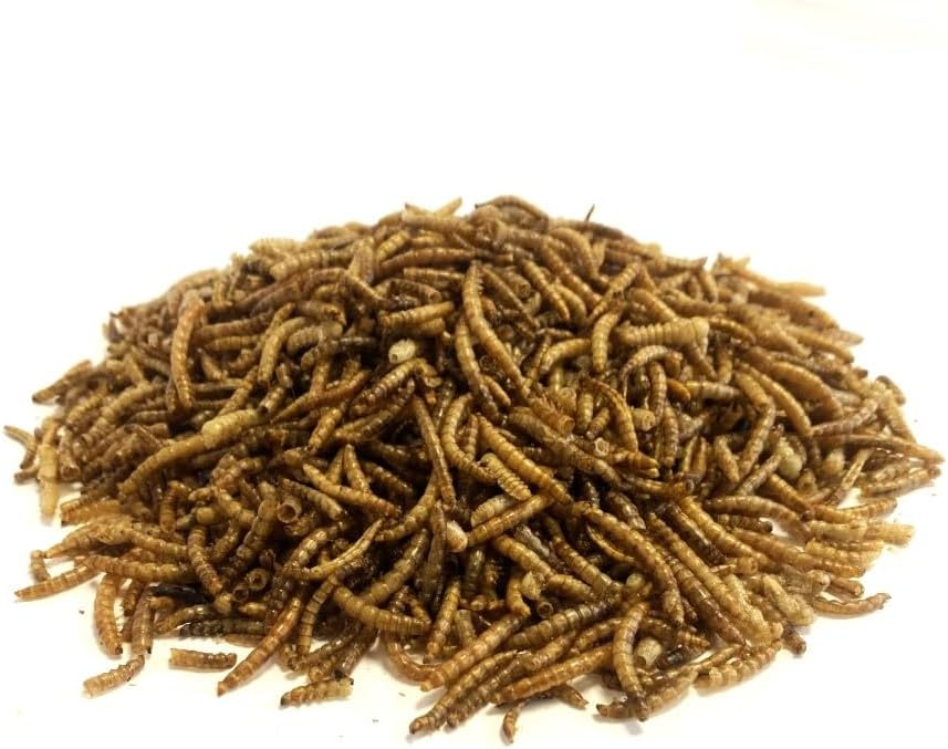 Dried Mealworms 5kg Premium Insectivorous Wild Bird Food By Maltbys' Stores 1904 Limited