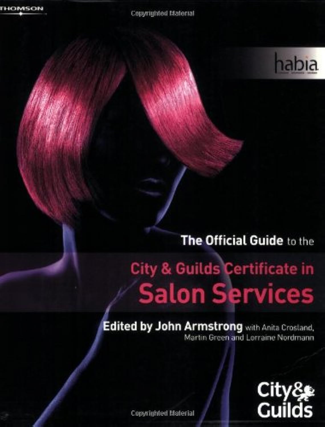 The Official Guide to the City & Guilds Certificate in Salon Services