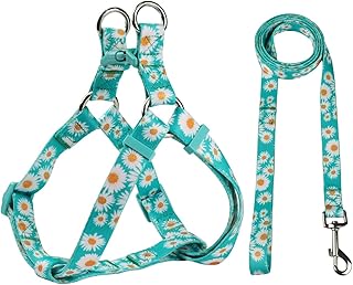 Green Daisy Pattern Basic Dog Halter Harness Leash Set, No Pull, Easy Wear for Small Dogs.(S, Green Daisy)