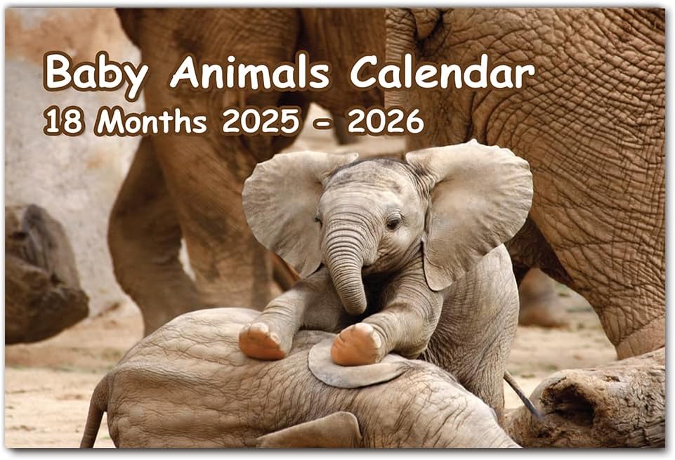 Baby Animals Calendar 2025 A4 18 Month to View Jul 2025 to Dec 2026 Wall Calendar 2025 UK Perfect for Home, Office, School, Holidays and Planning Papa Prints