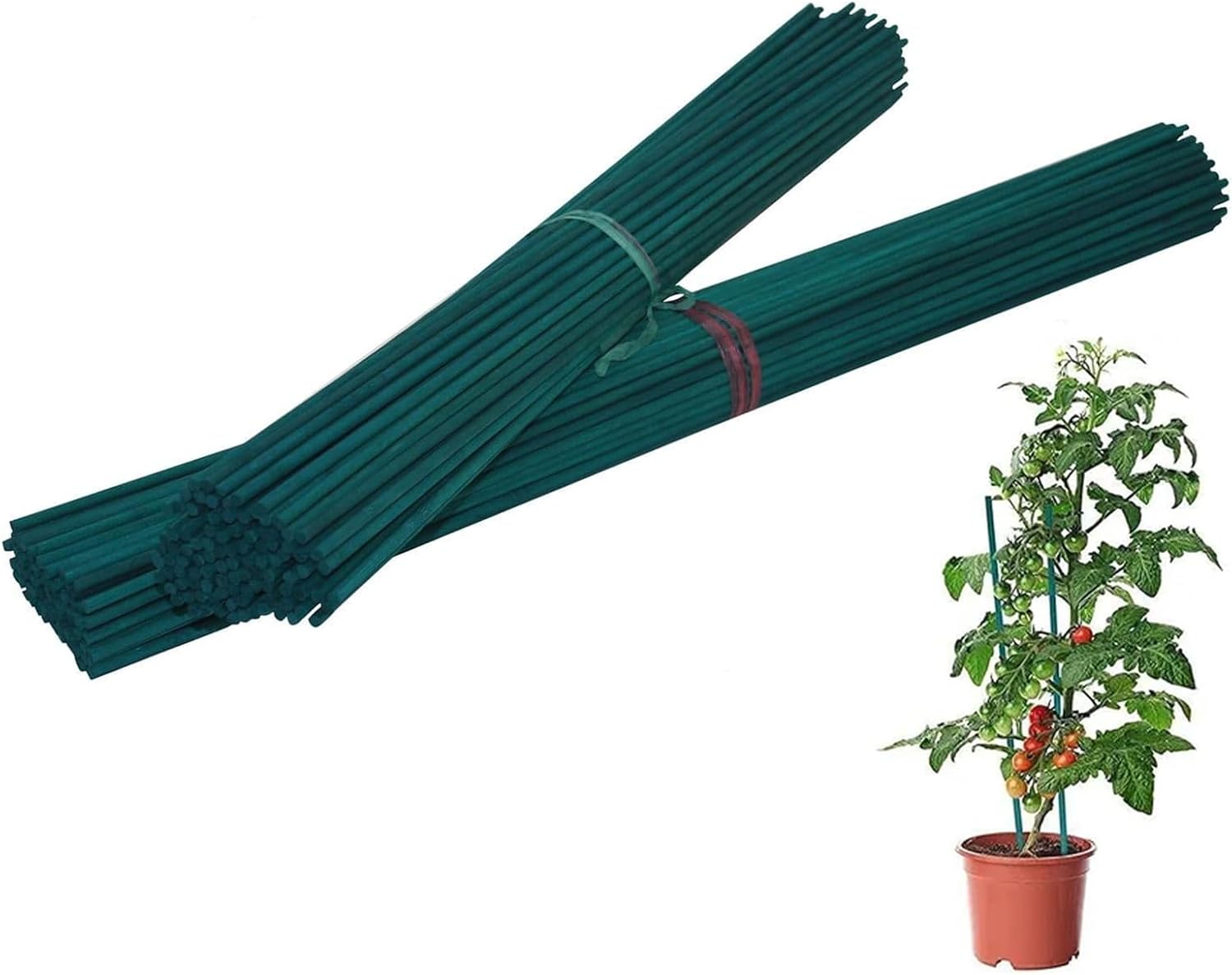 Green Flower Sticks Bamboo Split Garden Canes Plant Support 12" 18" 24" 30" 36"(12" Split Canes x 20)
