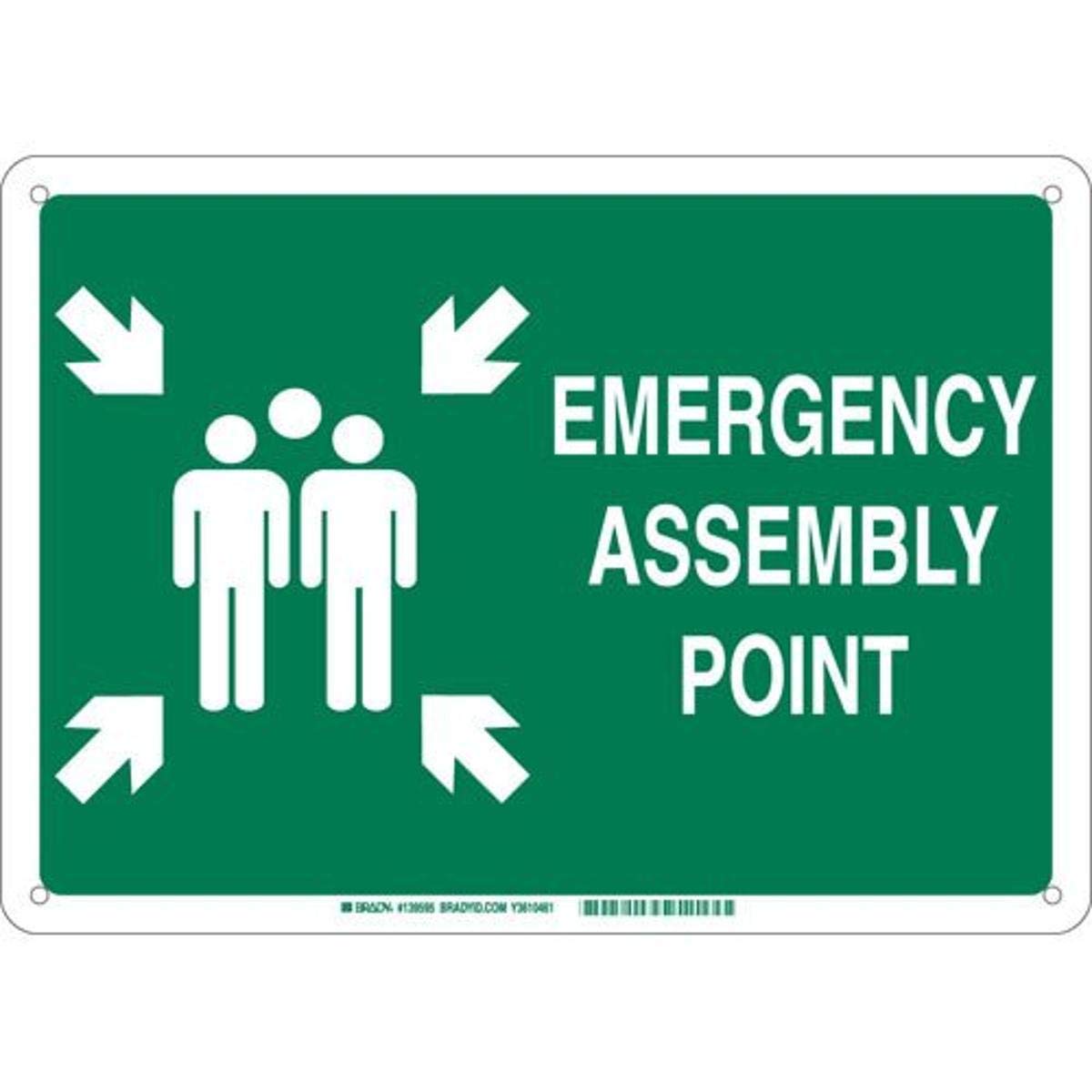 Brady 139598 Plastic "Emergency Assembly Point" Sign, Text and Symbol, 10" H x 14" W, White on Green
