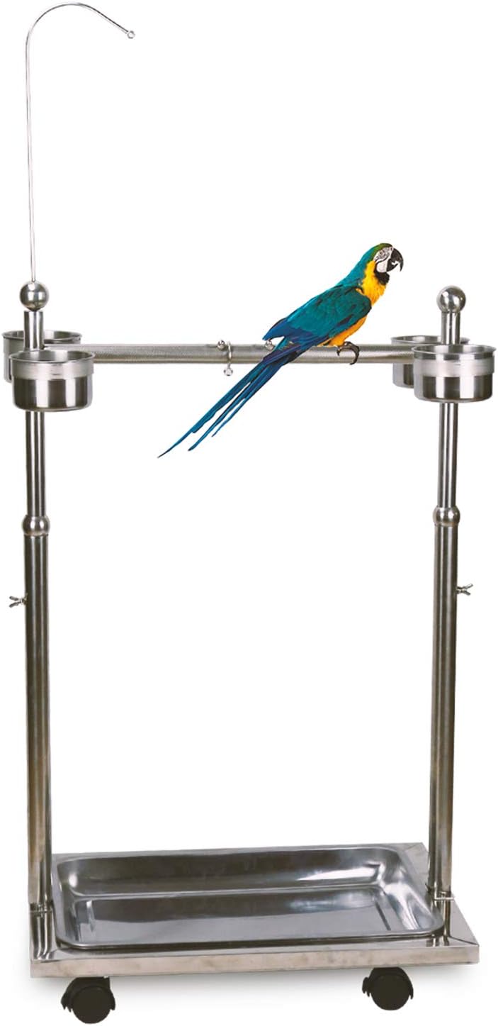 Ozzptuu Metal Bird Feeder Stand Adjustable Height Rolling Bird Perch Play Stand Parrot Playstand with Universal Wheels and Feeding Bowls