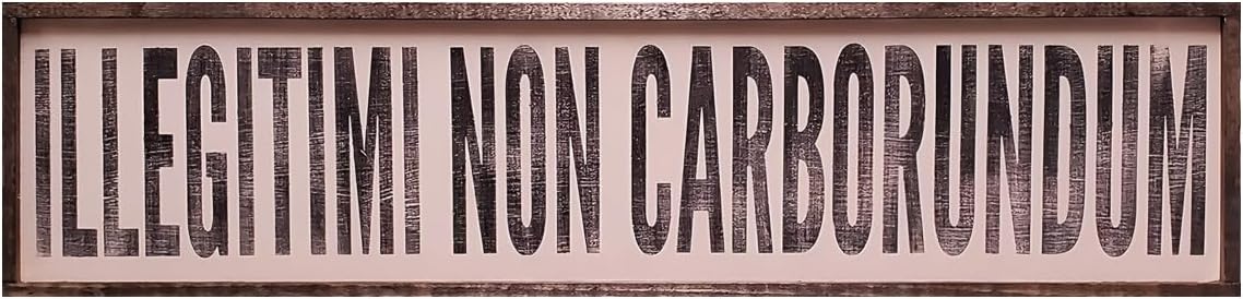 Nufar Vintage Primitive Funny Decor Illegitimi Non Carborundum Don't Let The Bastards Get You Down Kitchen Farmhouse Rustic Wood Sign 4x16 Inch, CQQ-A12
