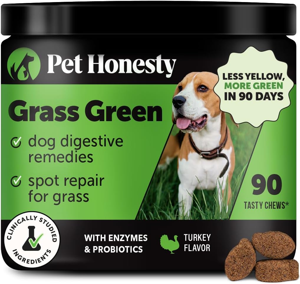 Grass Green Dog Chews - Urine Neutralizer for Lawn, Dog Pee Grass Helps Yard Stay Green Addressing Burn Spots with Probiotics & Enzymes (Turkey)