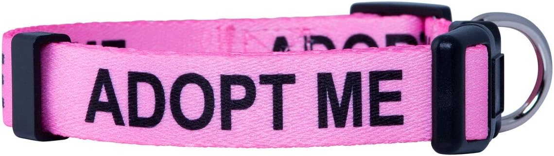 Native Pup Adopt Me Dog Collar (Large, Pink)