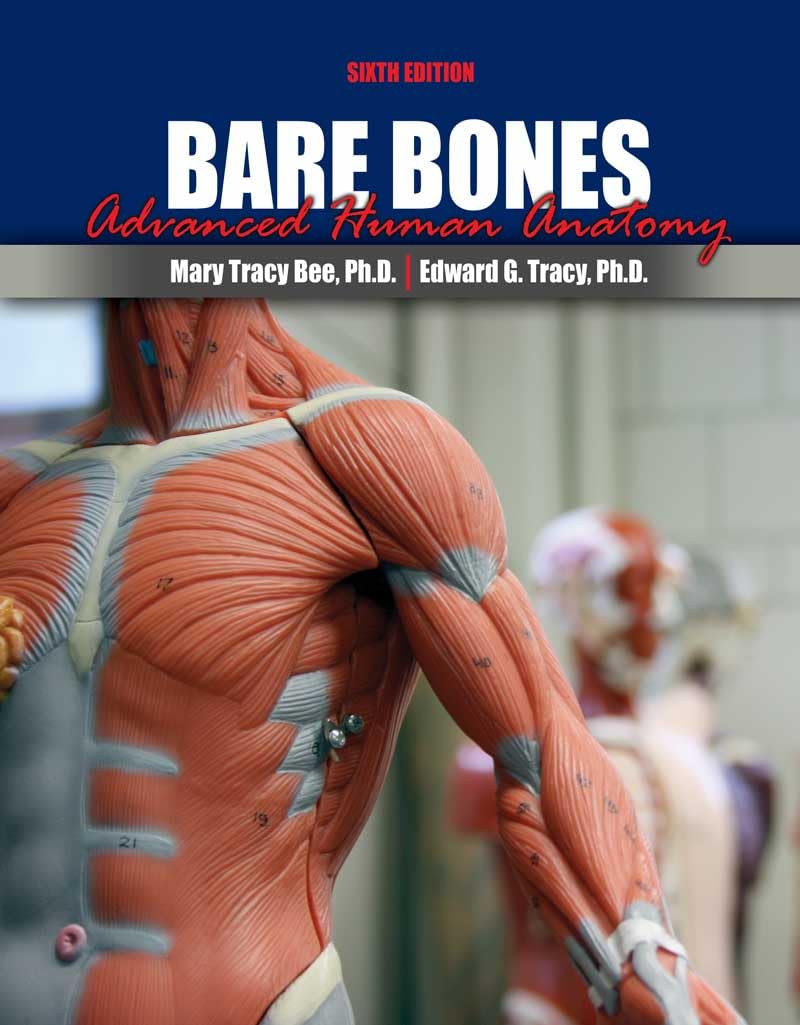 Bare Bones: Advanced Human Anatomy