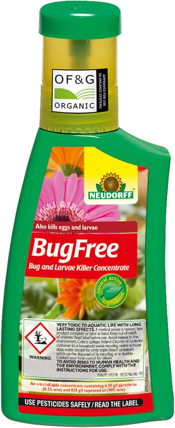 Neudorff BugFree Spruzit Bug and Larvae Killer Concentrate, 250ml – Liquid Bug Killer & Larvae Killer, Pyrethrum Insecticide, Insecticidal Concentrate, Pyrethrin–Based Insecticide, Aphid Killer