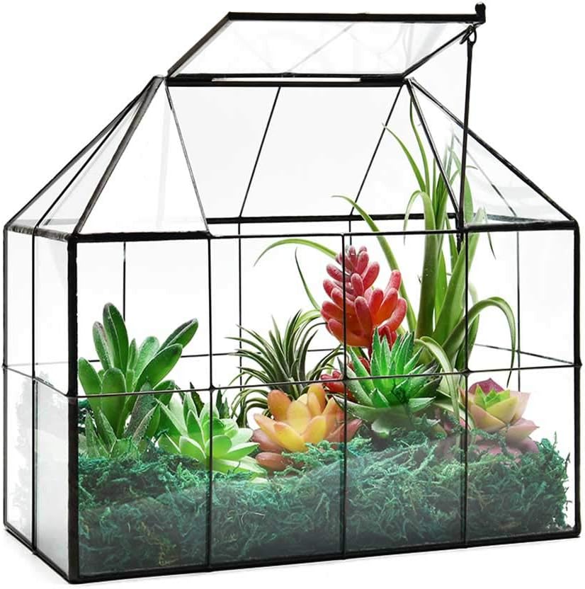 Large Glass Greenhouse Succulent Plant Terrarium with lid Geometric Tabletop