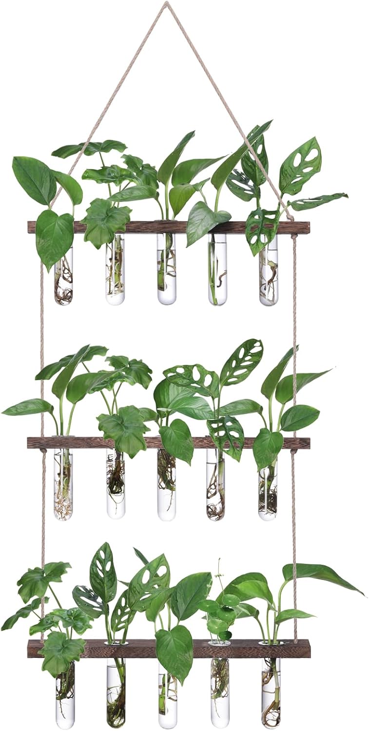 XXXFLOWER Wall Hanging Propagation Station with 3 Tiered Wooden Stand 15 Test Tubes Flower Vase Glass Planter Stations for Home Office Decor Hydroponic Plant Cuttings Lover