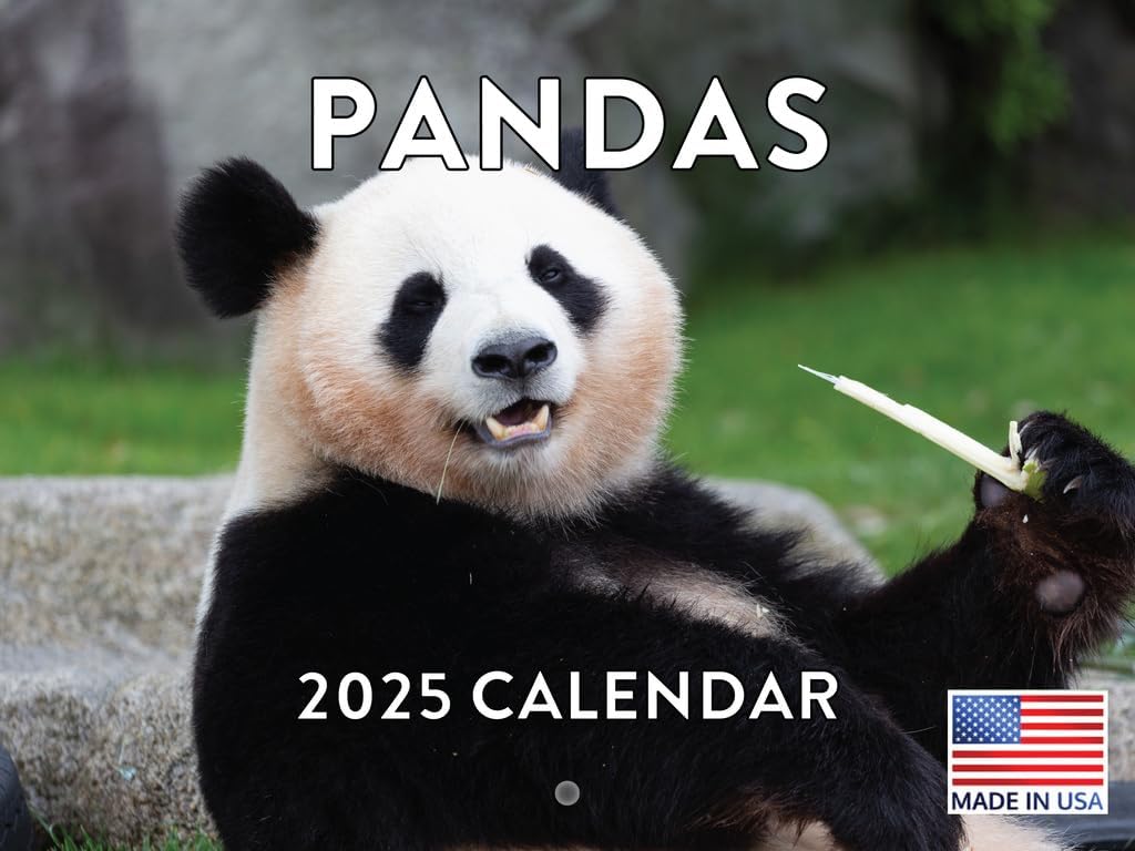 Panda Calendar 2025 Panda Gifts Monthly Wall Calender 12 Month