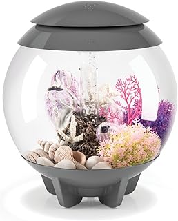 biOrb Halo 15 Acrylic 4-Gallon Aquarium with Multi-Color Remote-Controlled LED Lights Modern Compact Tank for Tabletop or Desktop Display, Gray