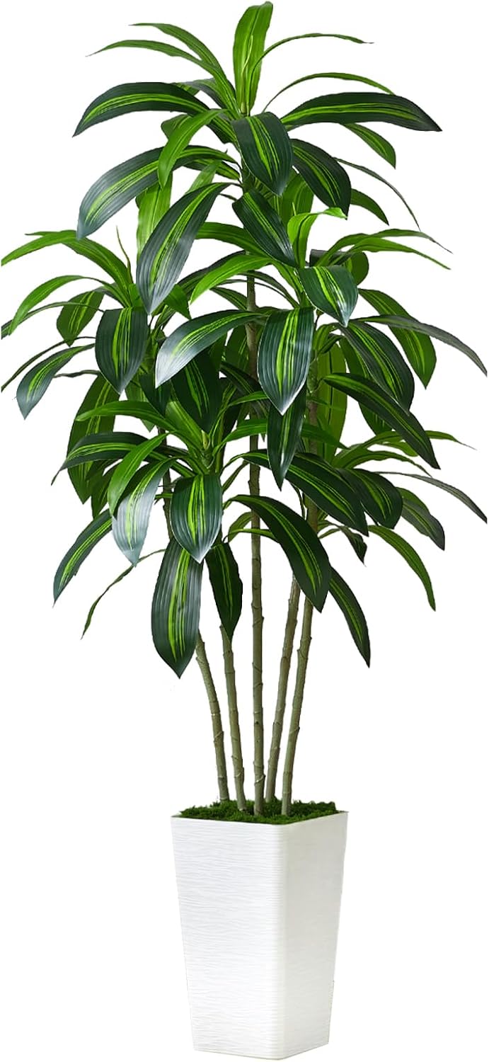 Artificial Dracaena Plant Indoor 6FT Fake Tree with White Tall Planter, Tall Fake Floor Plant in Pot, Artificial SilkPlant for Home Decor Office Living Room Porch Patio Housewarming(5 Trunks 180CM)