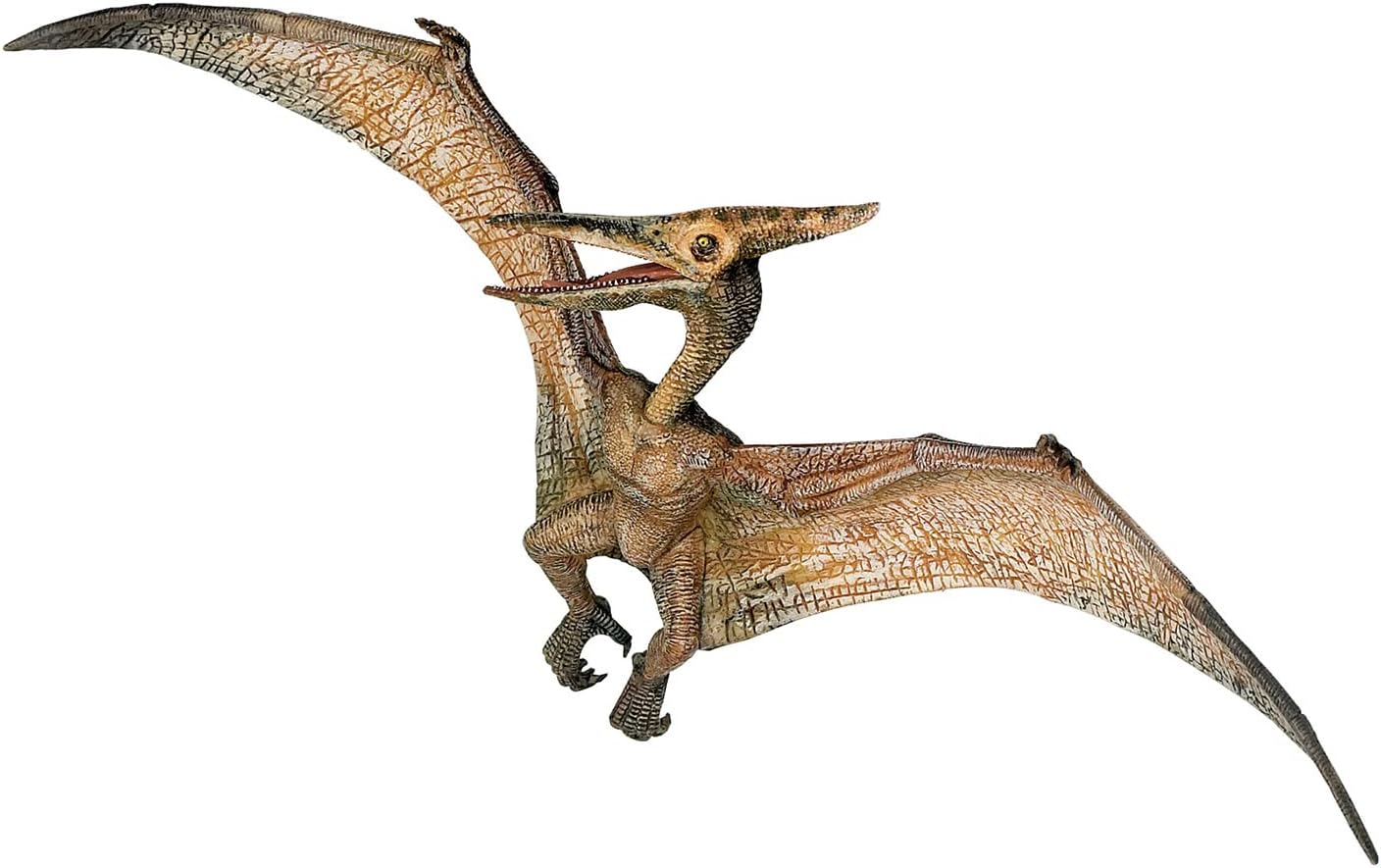 Papo - Large Dinosaur Figurine 23 cm - Pteranodon, Aerial Dinosaur, toys for Kids from 3 Years Old - Prehistoric Discovery with Flying Creature from the Jurassic Era
