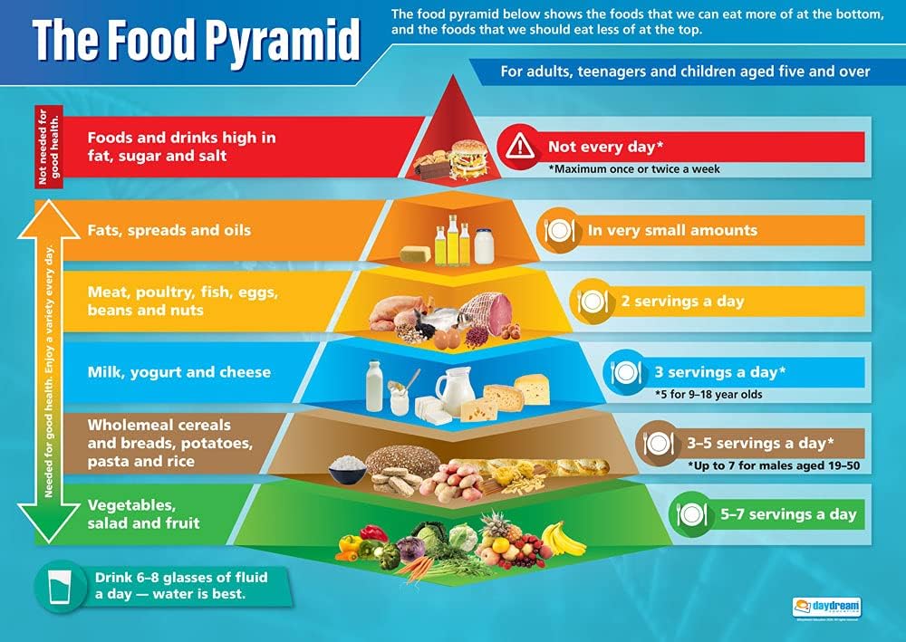 Daydream Education Food Pyramid Science Poster - EXTRA LARGE - A1 (850mm x 594mm) - Gloss Paper - Science Wall Charts for the Classroom