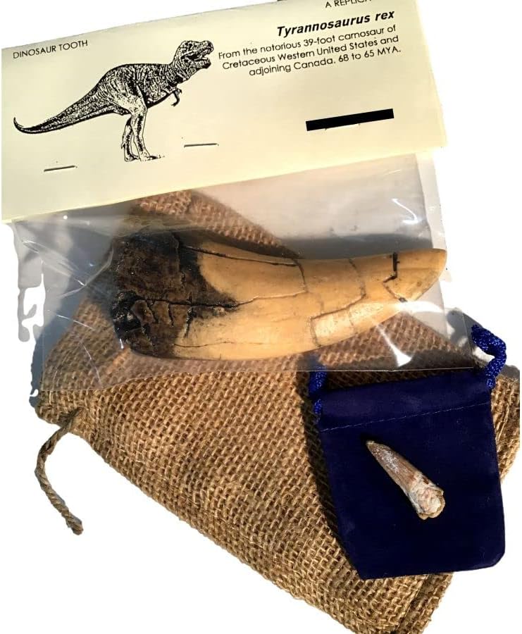 DINOSAURS ROCK Tyrannosaurus Rex Tooth Replica - T-Rex - Plus Genuine Fossil Spinosaurus Dinosaur Tooth Fragment