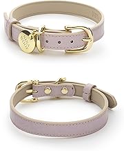 Milan Vegan Leather Dog Collar - Padded Luxury Dog Collar with Adjustable Buckle - Collar for Dogs, Dog Collar for Small Dogs to Dog Collar for Large Dogs - Color Lilac, Size Small