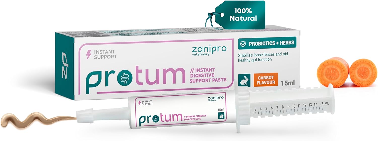 Veterinary Rabbit Probiotic Paste 15ml - Guinea Pig & Small Animals Carrot Flavour, Supports Gut Health, Promotes Digestive Balance, Precise Dosage Syringe - Easy to Use Critical Care Recovery